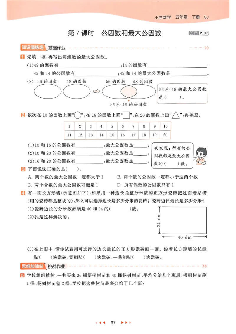 53天天练苏教数学5下_2026春小学教辅大合集_7-26春《53天天练》系列_26春《53天天练》数学_2025春苏教版数学1-6年级下册《53天天练》_25春53天天练苏教数学5下