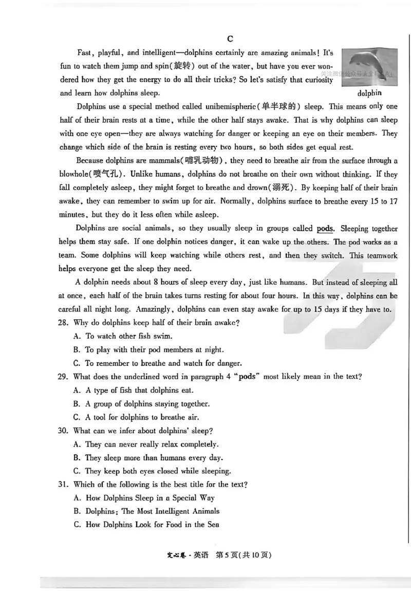 2026《万唯中考&bull;河南定心卷》英语A4_中考押题2026《中考押题》系列（9科全套实时更新中）_2026万唯中考定心卷[河南7科]