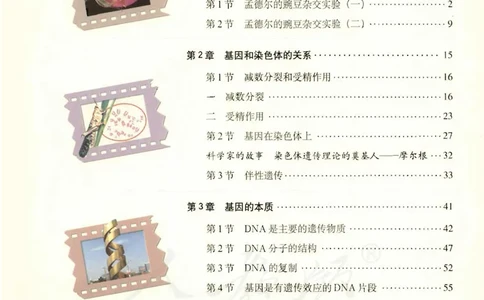必修2《遗传与进化》_高中三年全科资料_高中_高中电子教材_旧教材_高中生物（人教旧版）_高中生物必修1-3（3本）
