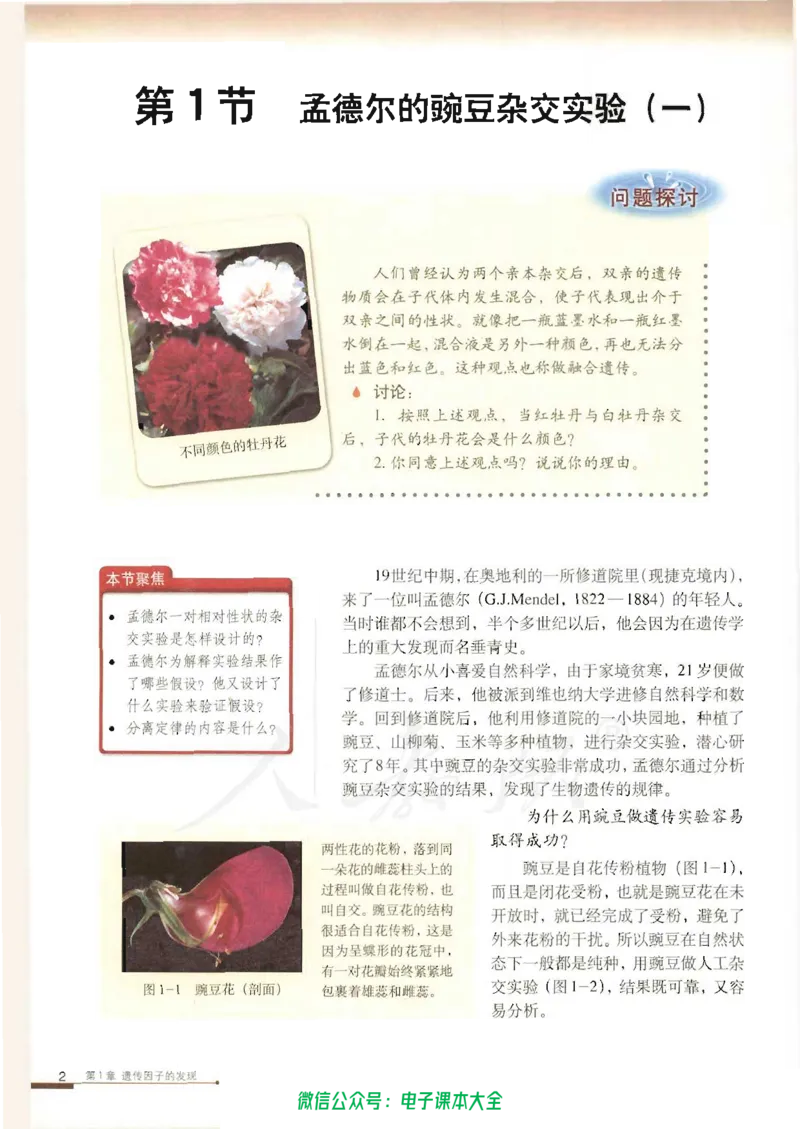 必修2《遗传与进化》_高中三年全科资料_高中_高中电子教材_旧教材_高中生物（人教旧版）_高中生物必修1-3（3本）