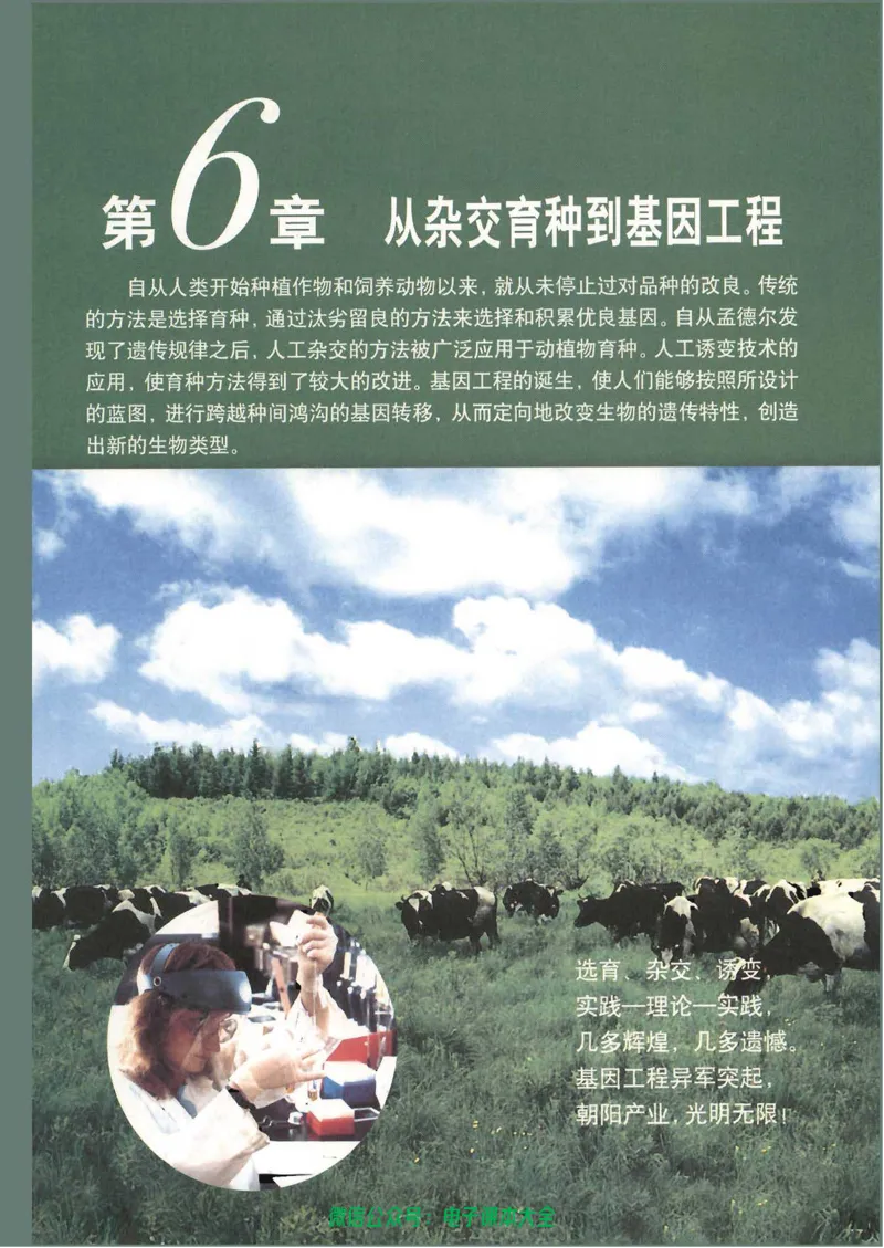必修2《遗传与进化》_高中三年全科资料_高中_高中电子教材_旧教材_高中生物（人教旧版）_高中生物必修1-3（3本）