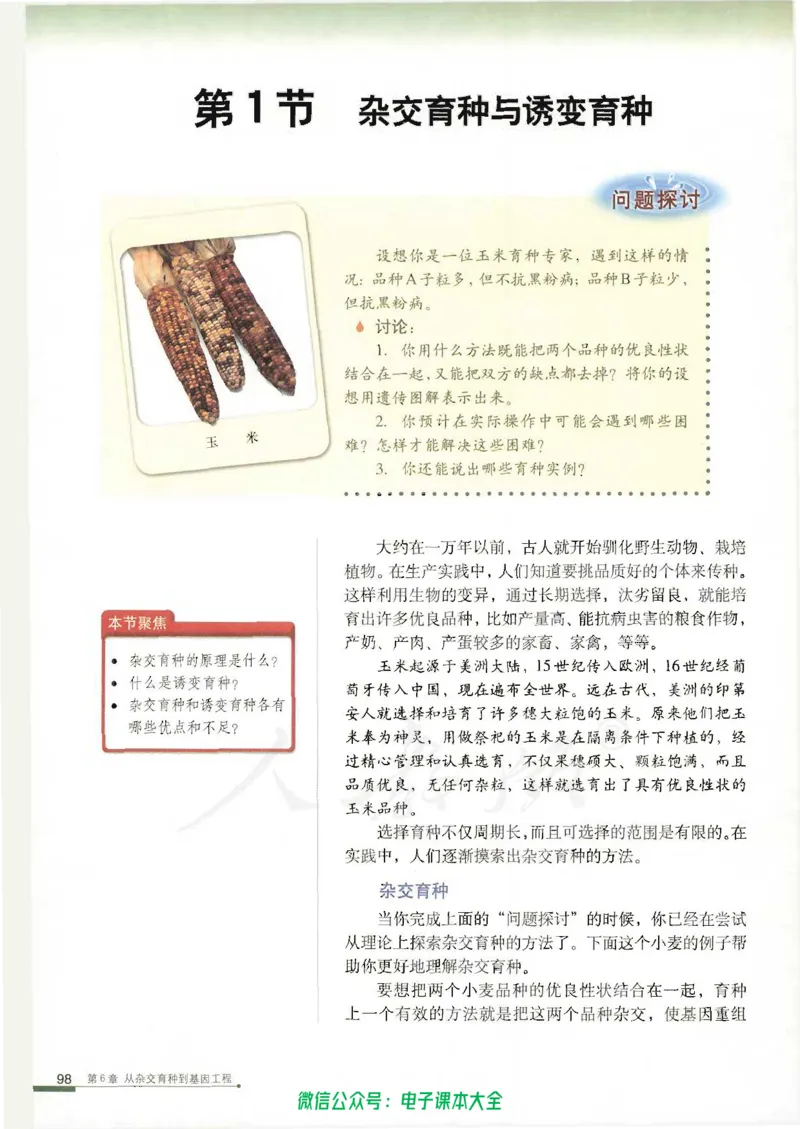 必修2《遗传与进化》_高中三年全科资料_高中_高中电子教材_旧教材_高中生物（人教旧版）_高中生物必修1-3（3本）
