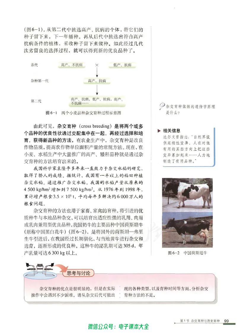 必修2《遗传与进化》_高中三年全科资料_高中_高中电子教材_旧教材_高中生物（人教旧版）_高中生物必修1-3（3本）