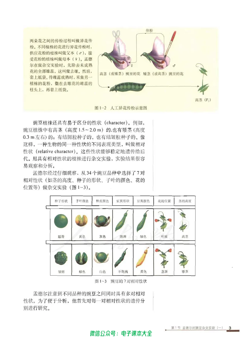 必修2《遗传与进化》_高中三年全科资料_高中_高中电子教材_旧教材_高中生物（人教旧版）_高中生物必修1-3（3本）