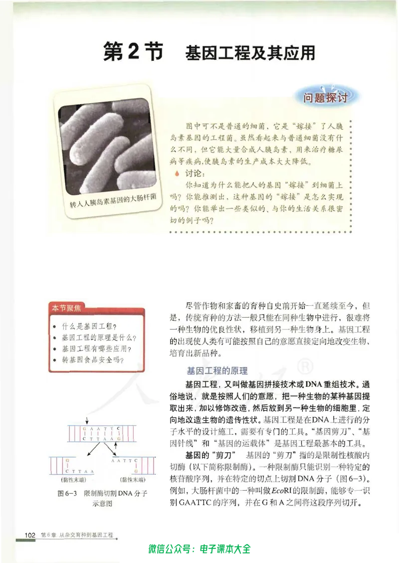 必修2《遗传与进化》_高中三年全科资料_高中_高中电子教材_旧教材_高中生物（人教旧版）_高中生物必修1-3（3本）