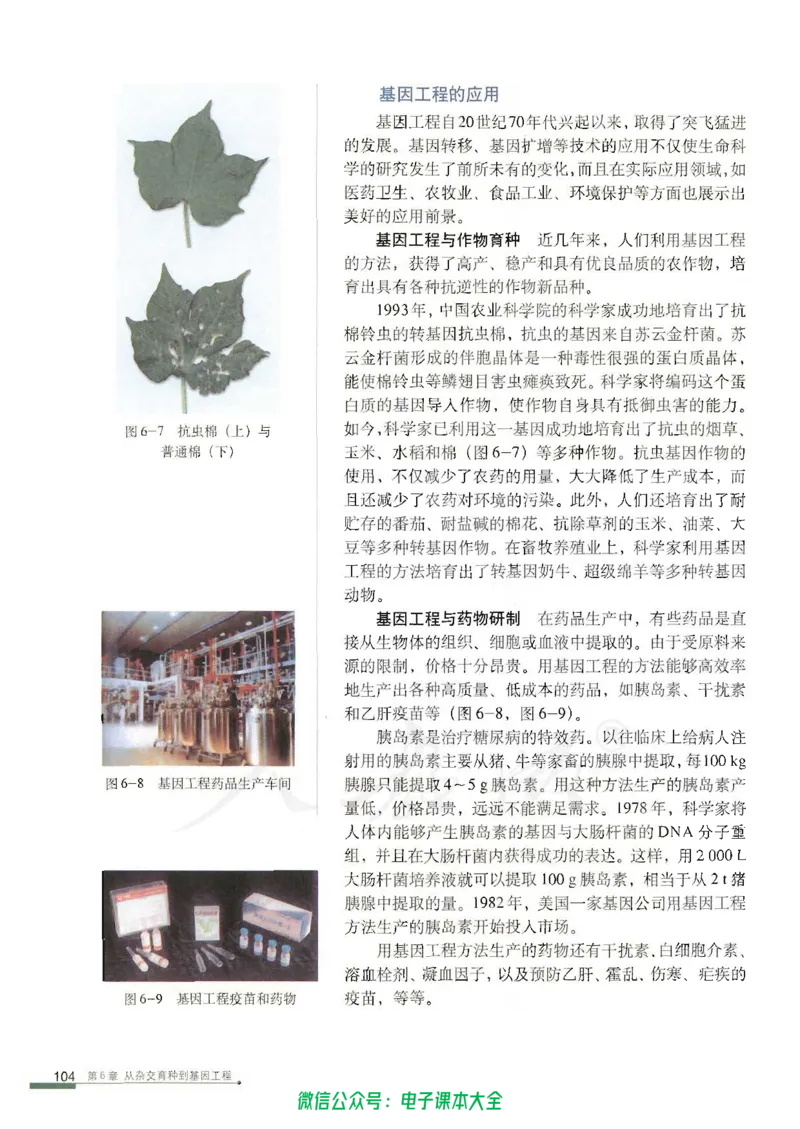 必修2《遗传与进化》_高中三年全科资料_高中_高中电子教材_旧教材_高中生物（人教旧版）_高中生物必修1-3（3本）