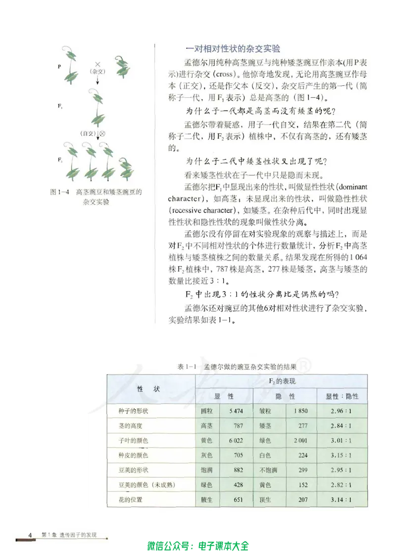 必修2《遗传与进化》_高中三年全科资料_高中_高中电子教材_旧教材_高中生物（人教旧版）_高中生物必修1-3（3本）