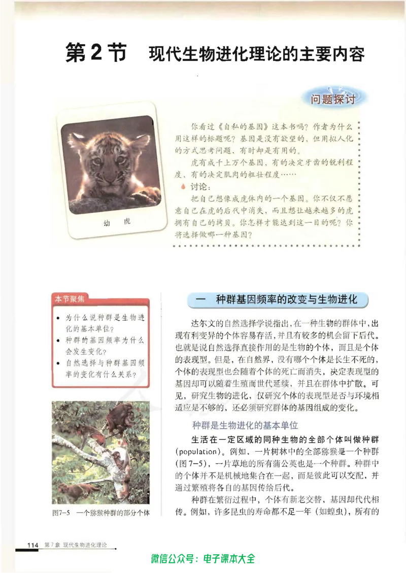 必修2《遗传与进化》_高中三年全科资料_高中_高中电子教材_旧教材_高中生物（人教旧版）_高中生物必修1-3（3本）