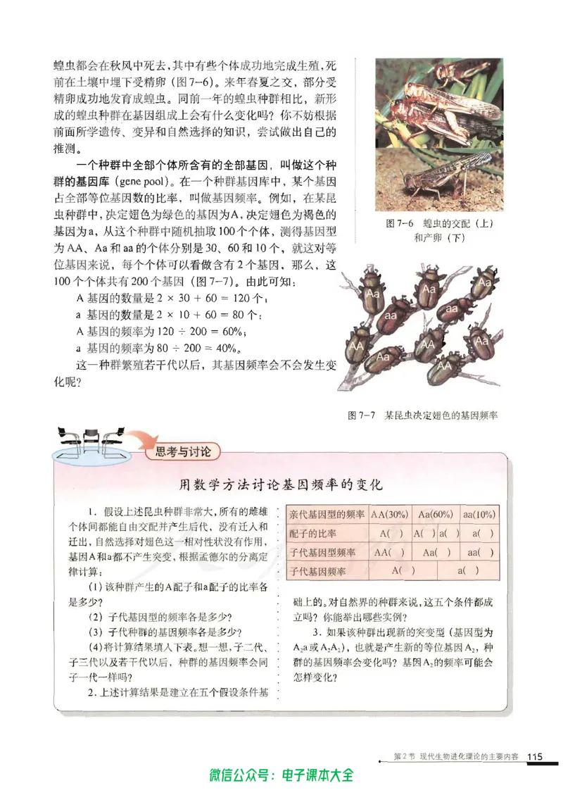 必修2《遗传与进化》_高中三年全科资料_高中_高中电子教材_旧教材_高中生物（人教旧版）_高中生物必修1-3（3本）