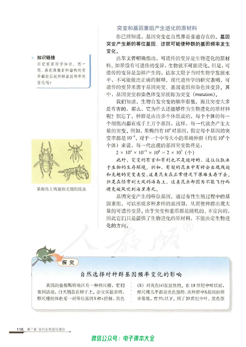 必修2《遗传与进化》_高中三年全科资料_高中_高中电子教材_旧教材_高中生物（人教旧版）_高中生物必修1-3（3本）