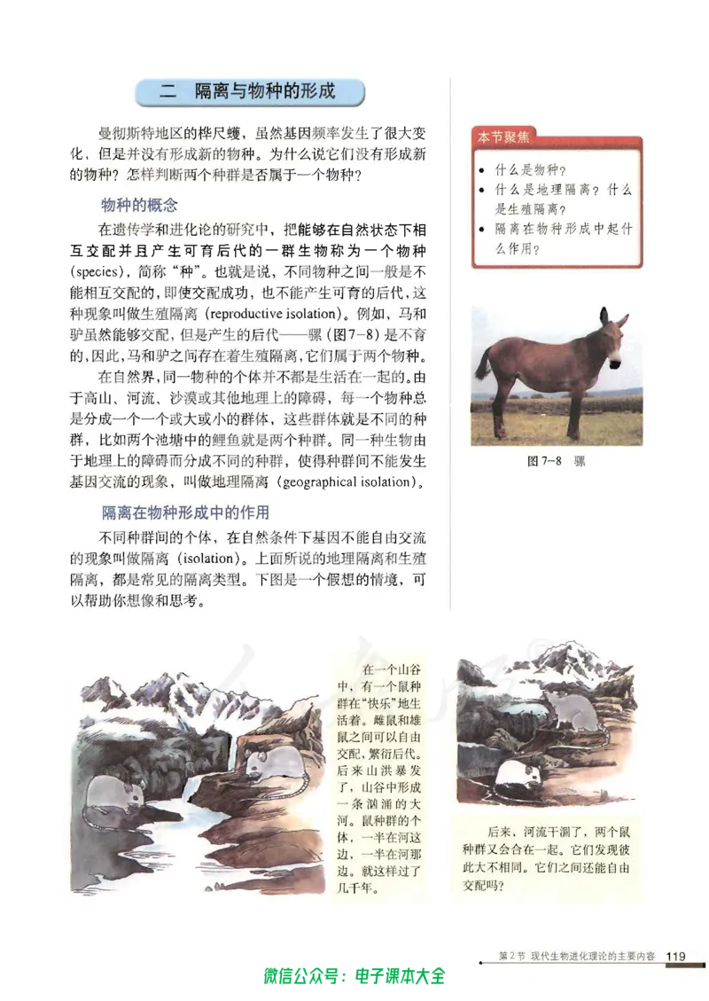 必修2《遗传与进化》_高中三年全科资料_高中_高中电子教材_旧教材_高中生物（人教旧版）_高中生物必修1-3（3本）