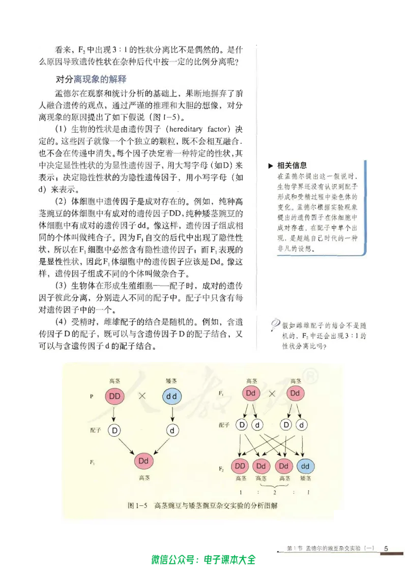 必修2《遗传与进化》_高中三年全科资料_高中_高中电子教材_旧教材_高中生物（人教旧版）_高中生物必修1-3（3本）
