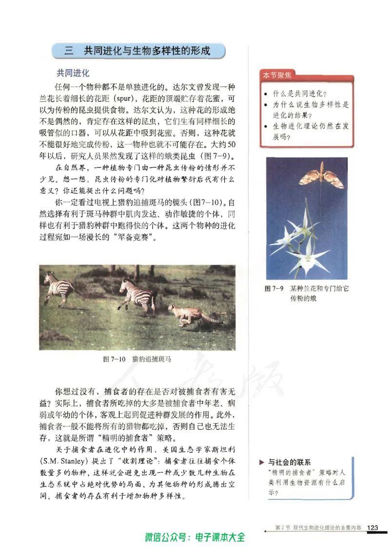 必修2《遗传与进化》_高中三年全科资料_高中_高中电子教材_旧教材_高中生物（人教旧版）_高中生物必修1-3（3本）