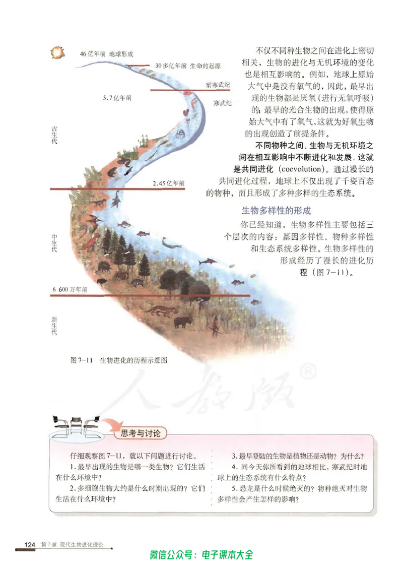 必修2《遗传与进化》_高中三年全科资料_高中_高中电子教材_旧教材_高中生物（人教旧版）_高中生物必修1-3（3本）