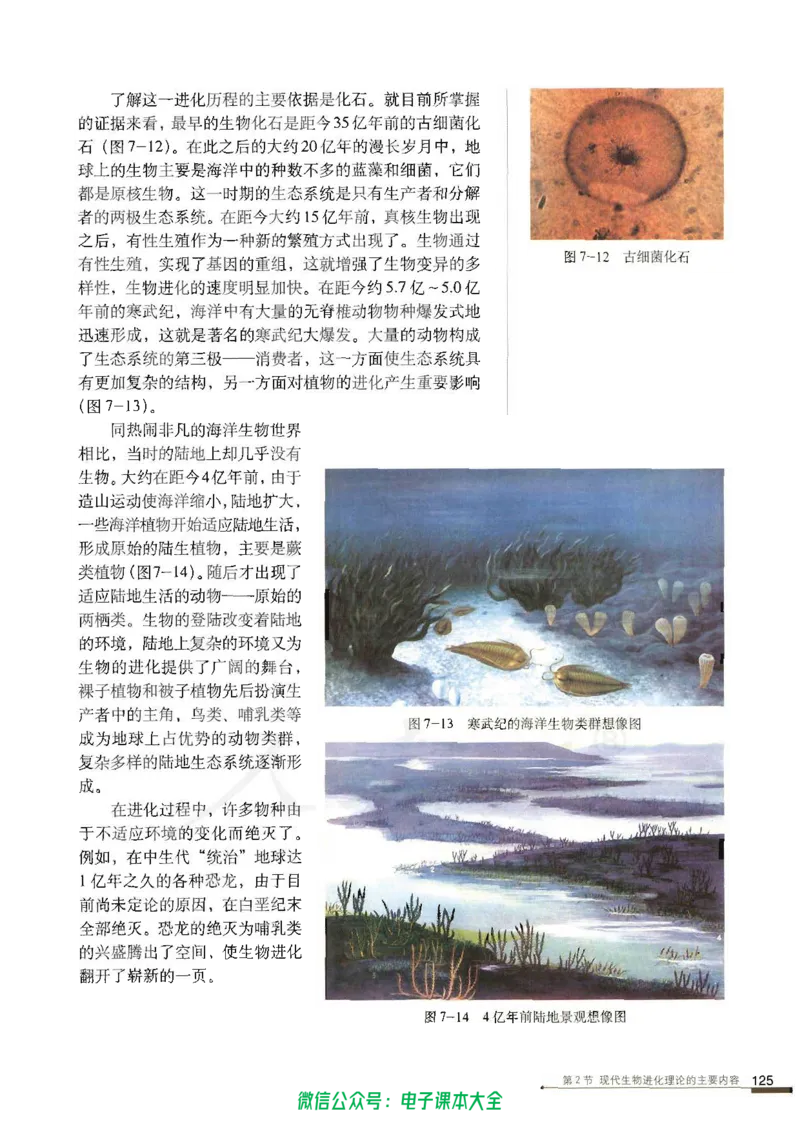 必修2《遗传与进化》_高中三年全科资料_高中_高中电子教材_旧教材_高中生物（人教旧版）_高中生物必修1-3（3本）