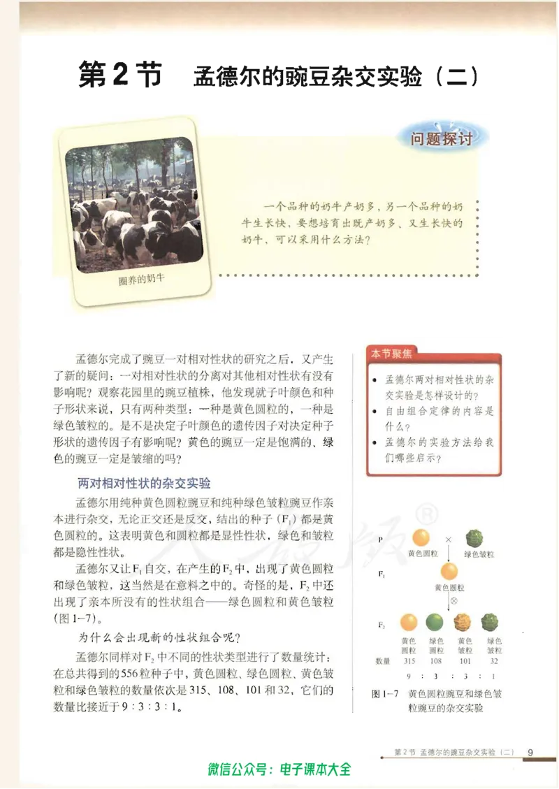 必修2《遗传与进化》_高中三年全科资料_高中_高中电子教材_旧教材_高中生物（人教旧版）_高中生物必修1-3（3本）