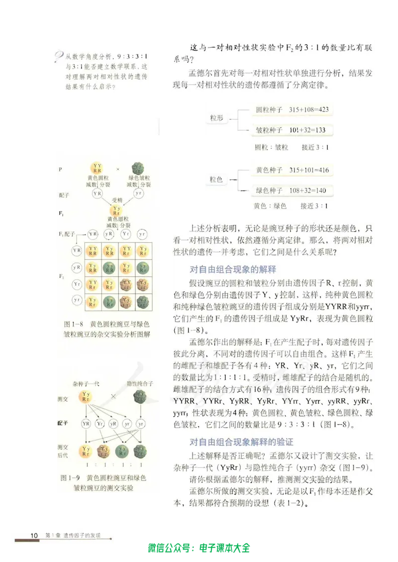 必修2《遗传与进化》_高中三年全科资料_高中_高中电子教材_旧教材_高中生物（人教旧版）_高中生物必修1-3（3本）