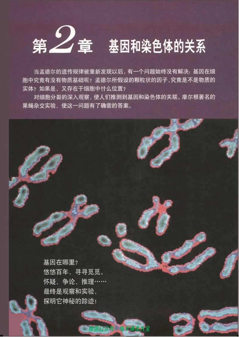 必修2《遗传与进化》_高中三年全科资料_高中_高中电子教材_旧教材_高中生物（人教旧版）_高中生物必修1-3（3本）