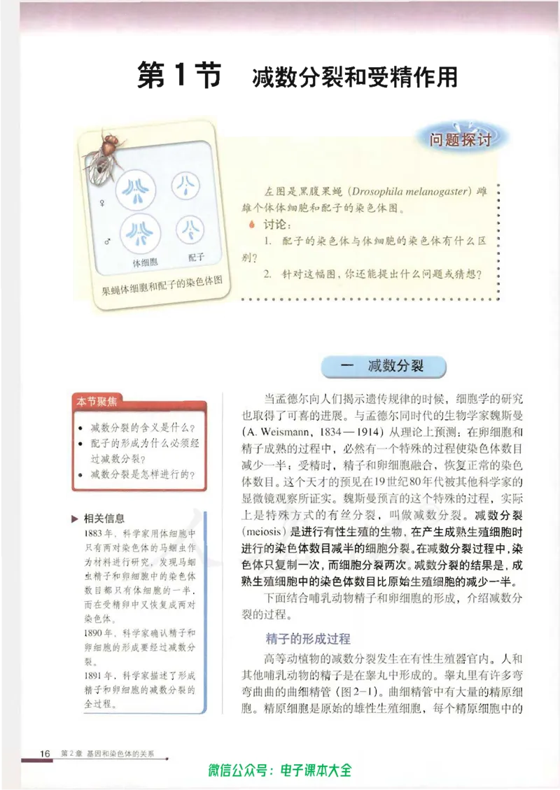 必修2《遗传与进化》_高中三年全科资料_高中_高中电子教材_旧教材_高中生物（人教旧版）_高中生物必修1-3（3本）