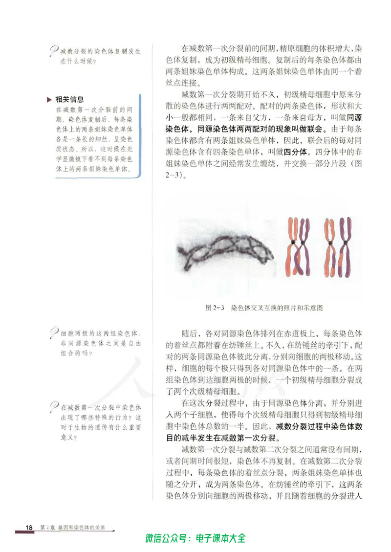 必修2《遗传与进化》_高中三年全科资料_高中_高中电子教材_旧教材_高中生物（人教旧版）_高中生物必修1-3（3本）