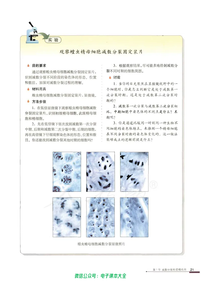 必修2《遗传与进化》_高中三年全科资料_高中_高中电子教材_旧教材_高中生物（人教旧版）_高中生物必修1-3（3本）