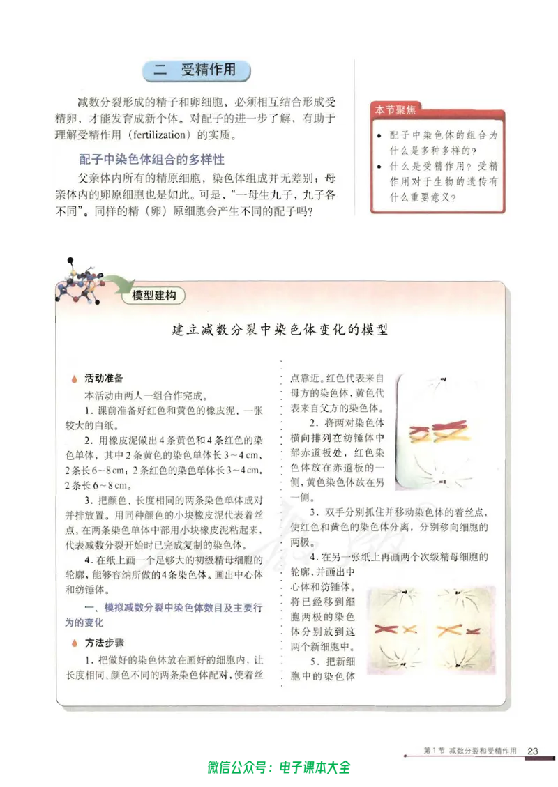 必修2《遗传与进化》_高中三年全科资料_高中_高中电子教材_旧教材_高中生物（人教旧版）_高中生物必修1-3（3本）