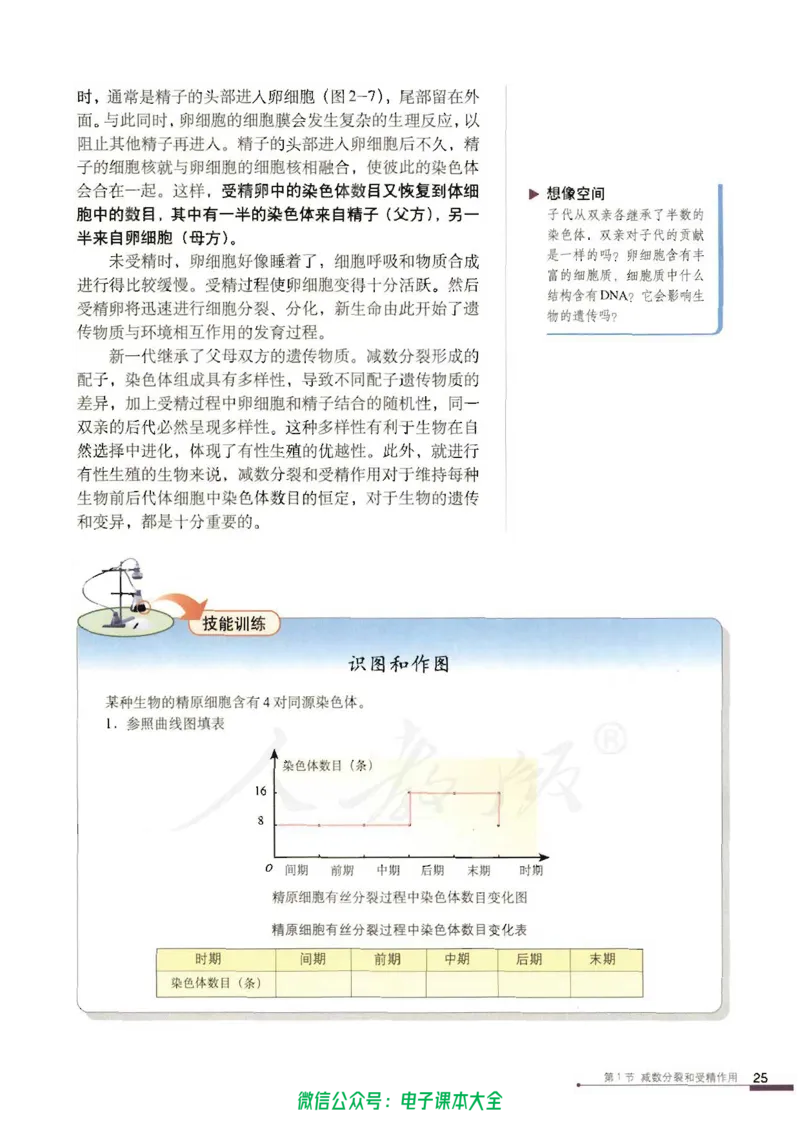 必修2《遗传与进化》_高中三年全科资料_高中_高中电子教材_旧教材_高中生物（人教旧版）_高中生物必修1-3（3本）