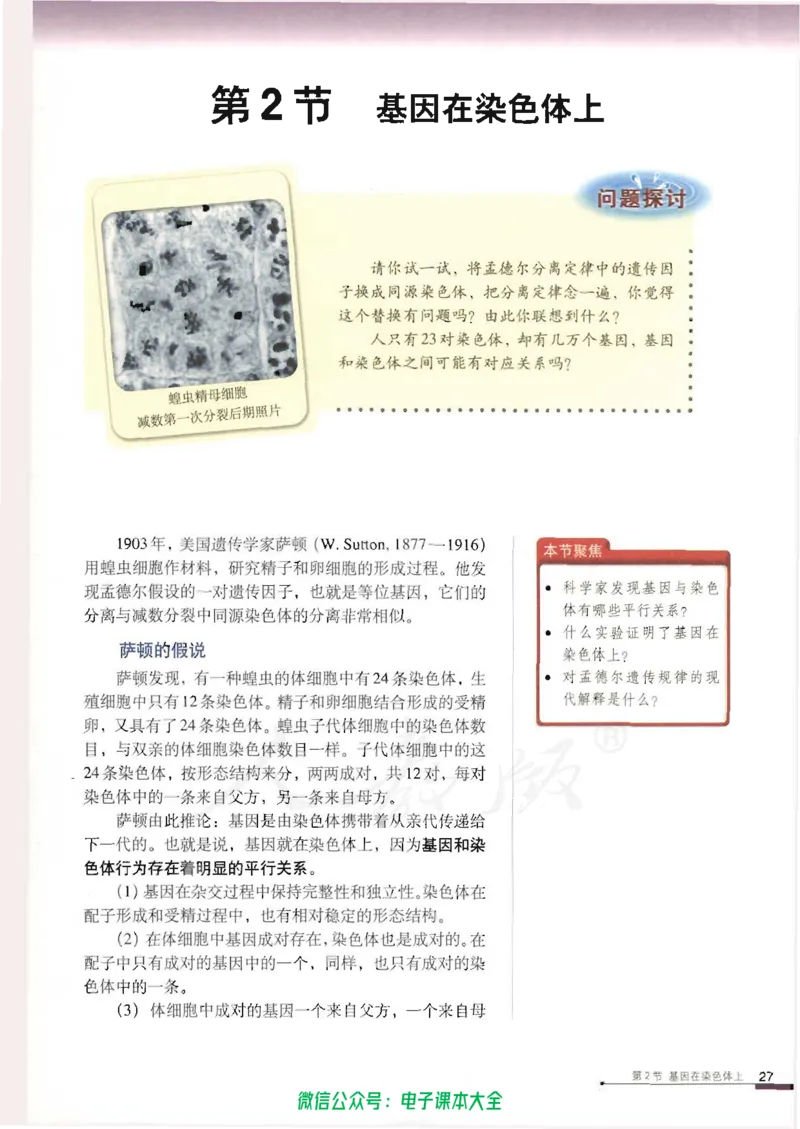 必修2《遗传与进化》_高中三年全科资料_高中_高中电子教材_旧教材_高中生物（人教旧版）_高中生物必修1-3（3本）