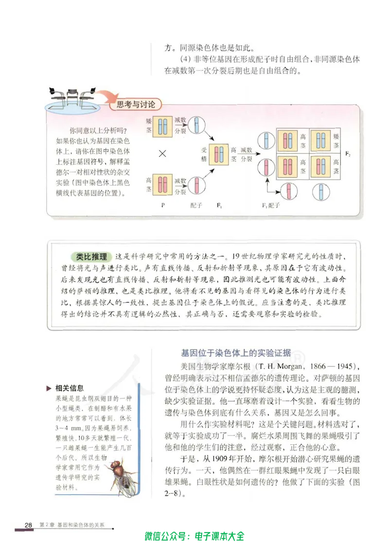 必修2《遗传与进化》_高中三年全科资料_高中_高中电子教材_旧教材_高中生物（人教旧版）_高中生物必修1-3（3本）