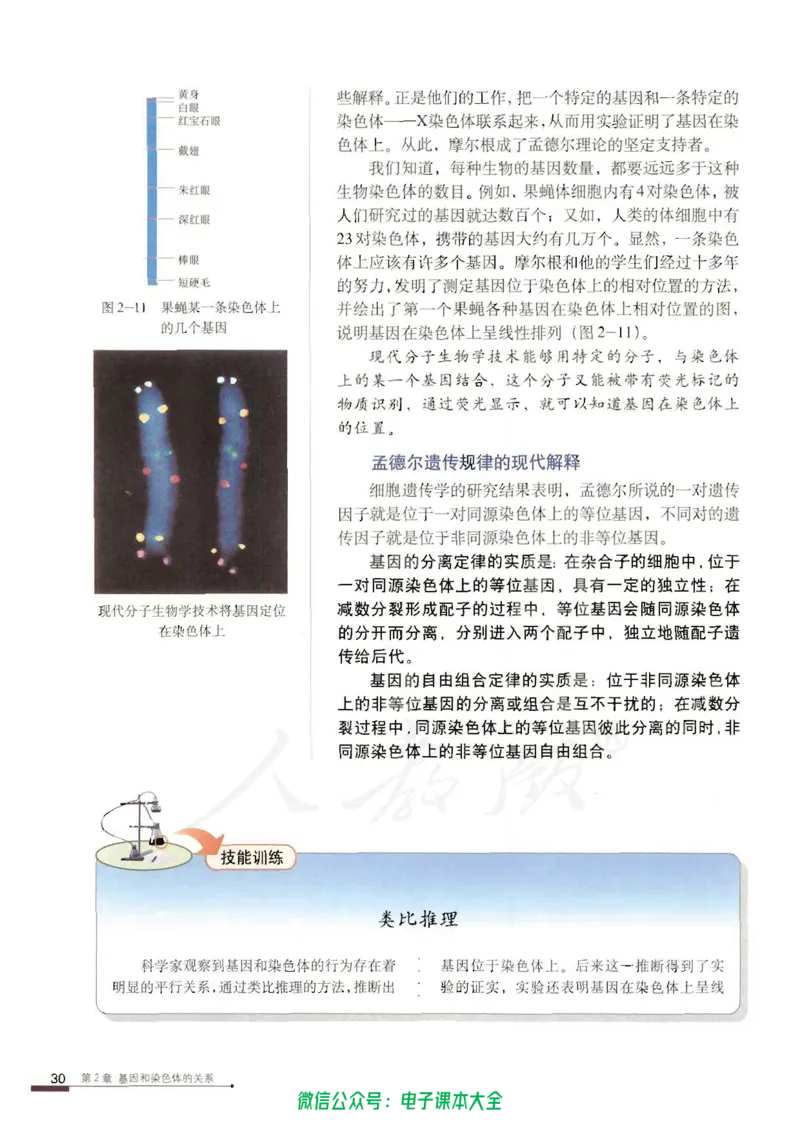 必修2《遗传与进化》_高中三年全科资料_高中_高中电子教材_旧教材_高中生物（人教旧版）_高中生物必修1-3（3本）