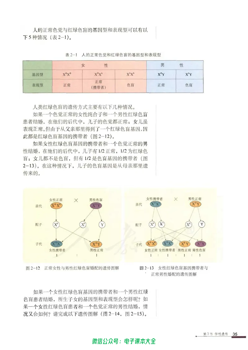 必修2《遗传与进化》_高中三年全科资料_高中_高中电子教材_旧教材_高中生物（人教旧版）_高中生物必修1-3（3本）