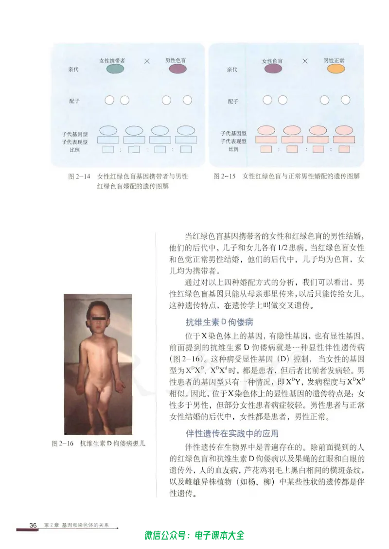 必修2《遗传与进化》_高中三年全科资料_高中_高中电子教材_旧教材_高中生物（人教旧版）_高中生物必修1-3（3本）
