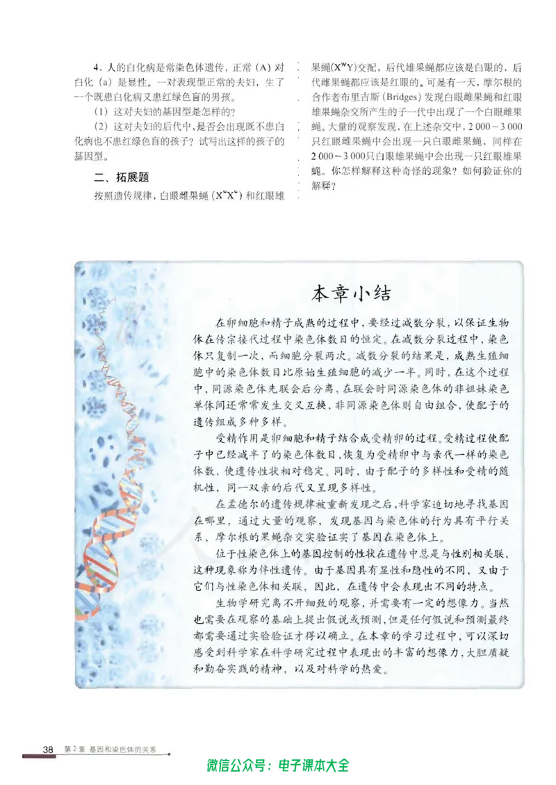 必修2《遗传与进化》_高中三年全科资料_高中_高中电子教材_旧教材_高中生物（人教旧版）_高中生物必修1-3（3本）