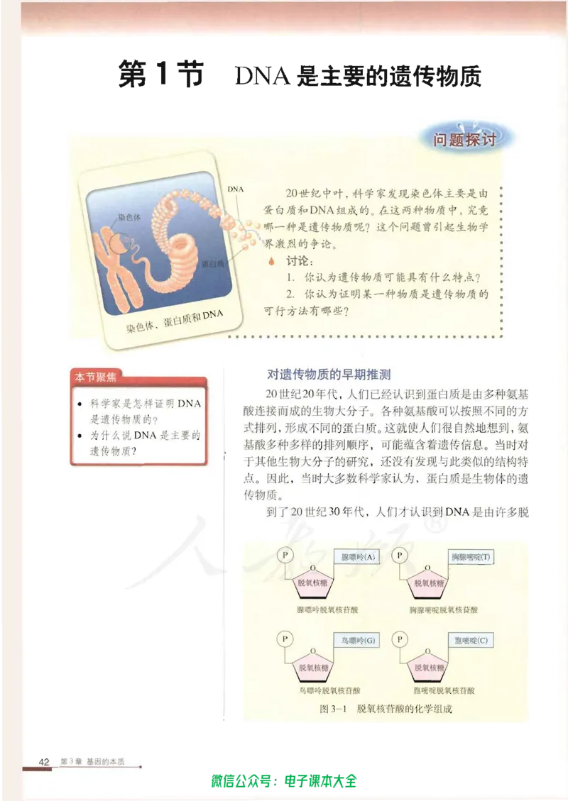必修2《遗传与进化》_高中三年全科资料_高中_高中电子教材_旧教材_高中生物（人教旧版）_高中生物必修1-3（3本）