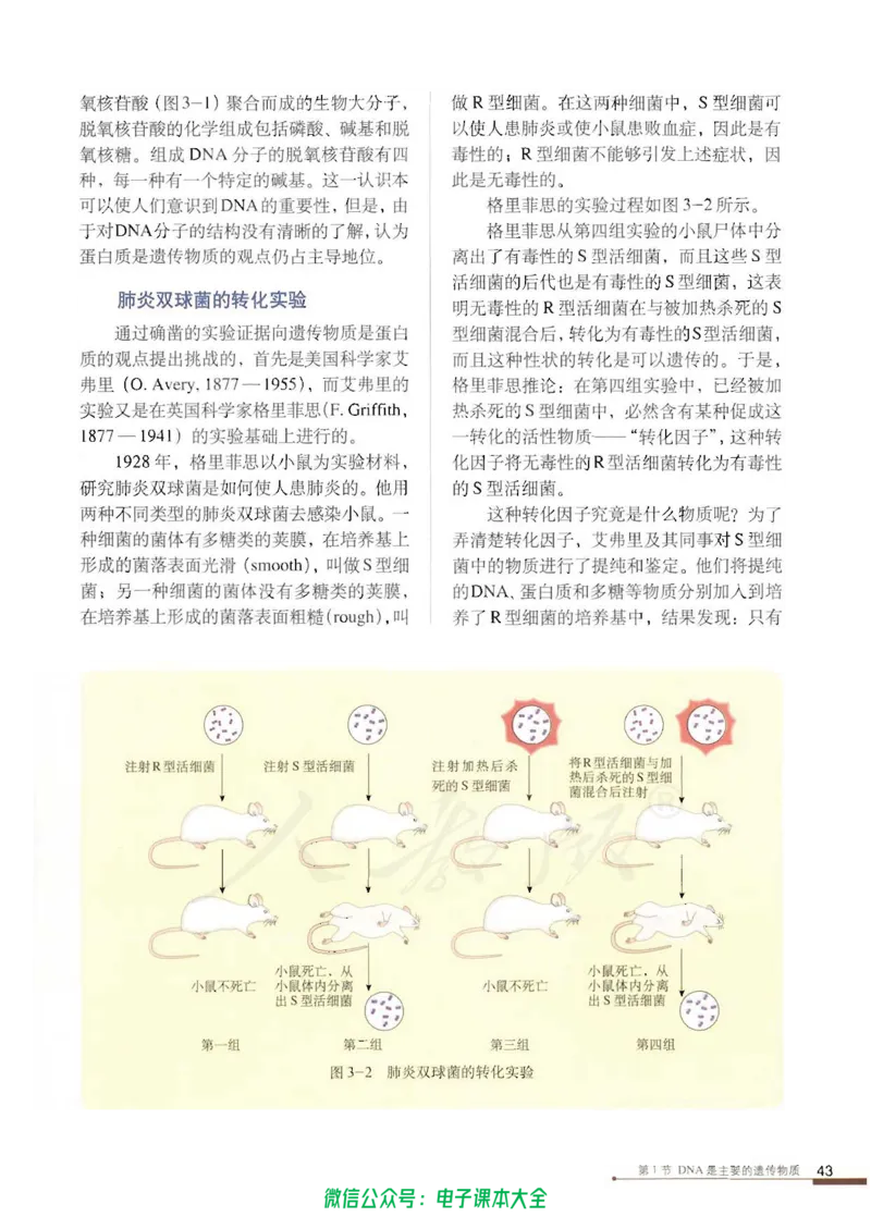 必修2《遗传与进化》_高中三年全科资料_高中_高中电子教材_旧教材_高中生物（人教旧版）_高中生物必修1-3（3本）