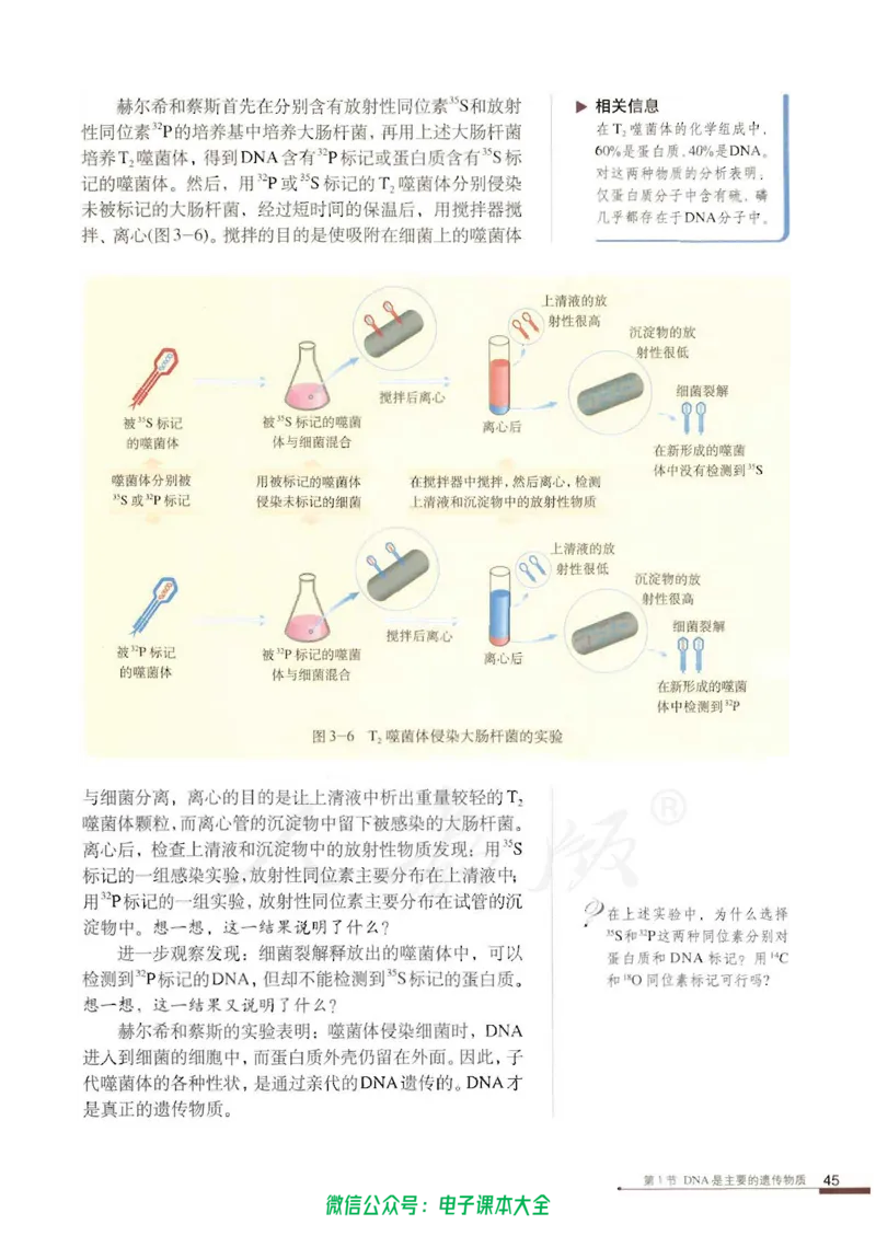 必修2《遗传与进化》_高中三年全科资料_高中_高中电子教材_旧教材_高中生物（人教旧版）_高中生物必修1-3（3本）