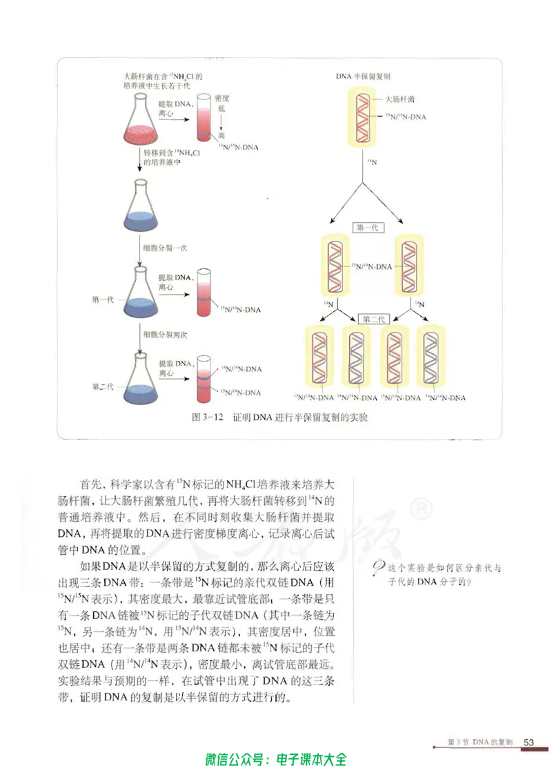 必修2《遗传与进化》_高中三年全科资料_高中_高中电子教材_旧教材_高中生物（人教旧版）_高中生物必修1-3（3本）