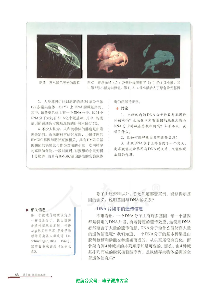 必修2《遗传与进化》_高中三年全科资料_高中_高中电子教材_旧教材_高中生物（人教旧版）_高中生物必修1-3（3本）