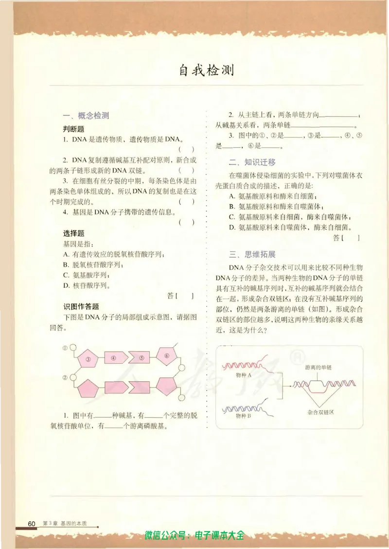 必修2《遗传与进化》_高中三年全科资料_高中_高中电子教材_旧教材_高中生物（人教旧版）_高中生物必修1-3（3本）