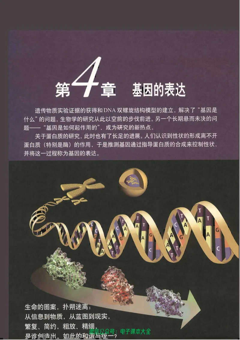 必修2《遗传与进化》_高中三年全科资料_高中_高中电子教材_旧教材_高中生物（人教旧版）_高中生物必修1-3（3本）