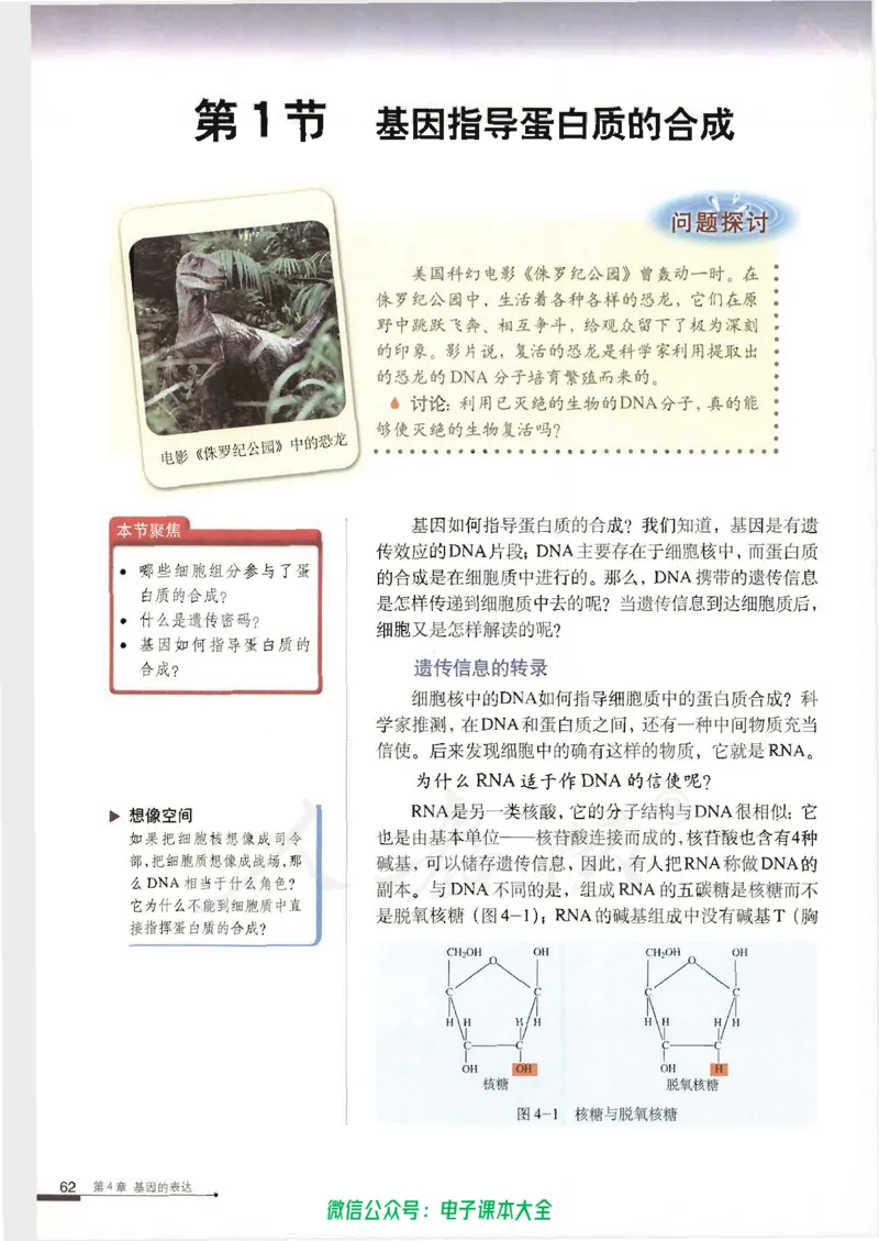 必修2《遗传与进化》_高中三年全科资料_高中_高中电子教材_旧教材_高中生物（人教旧版）_高中生物必修1-3（3本）