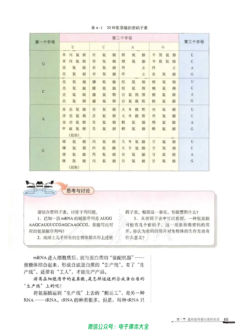 必修2《遗传与进化》_高中三年全科资料_高中_高中电子教材_旧教材_高中生物（人教旧版）_高中生物必修1-3（3本）