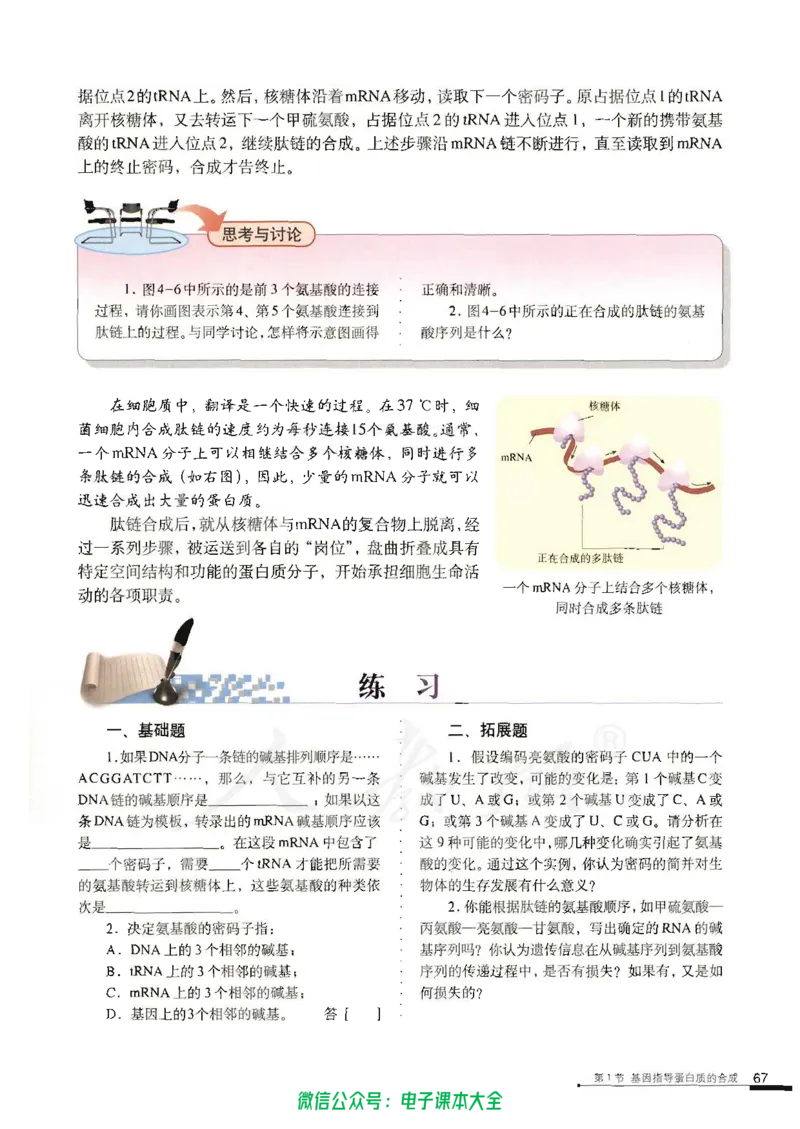 必修2《遗传与进化》_高中三年全科资料_高中_高中电子教材_旧教材_高中生物（人教旧版）_高中生物必修1-3（3本）