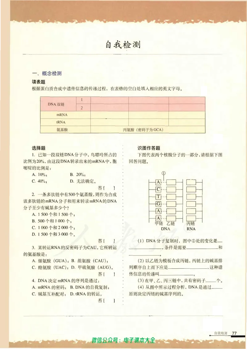 必修2《遗传与进化》_高中三年全科资料_高中_高中电子教材_旧教材_高中生物（人教旧版）_高中生物必修1-3（3本）