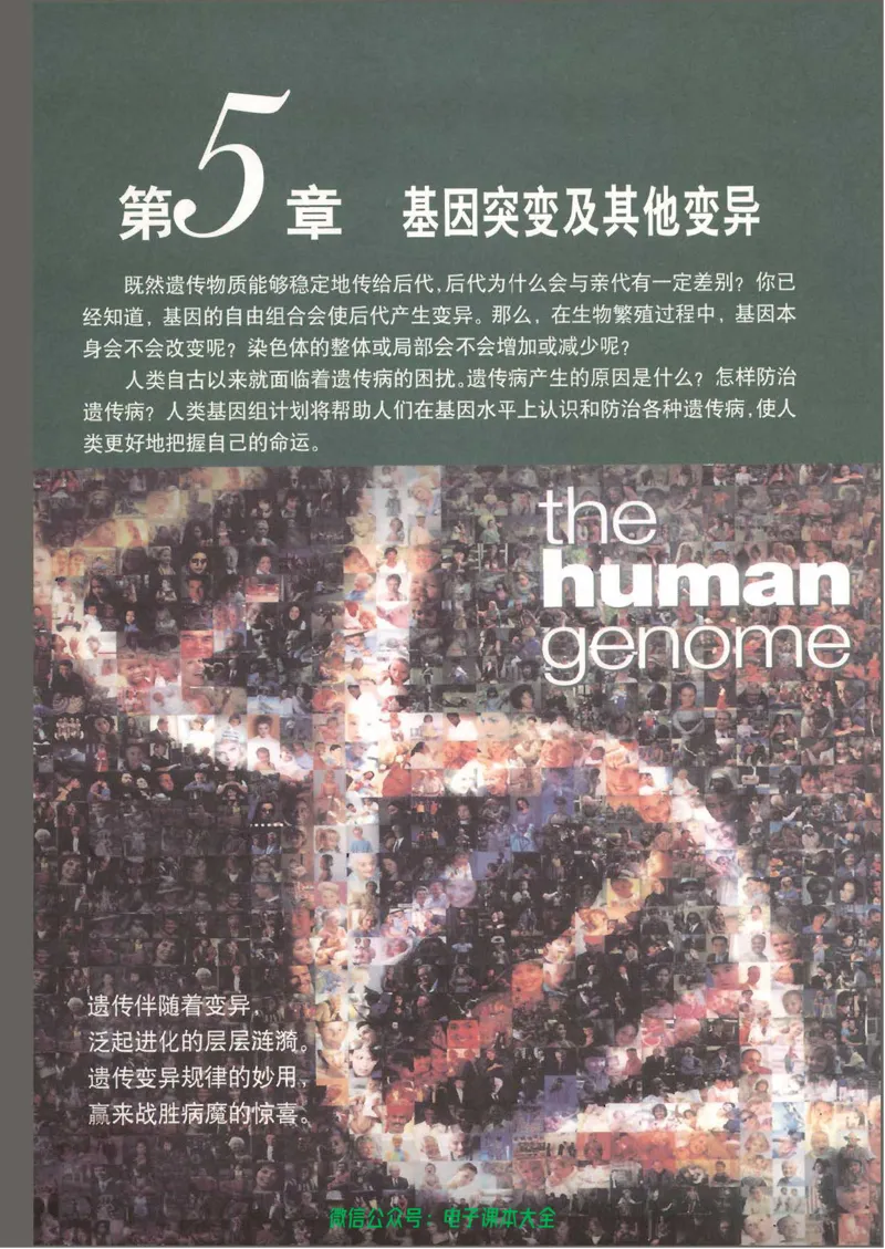 必修2《遗传与进化》_高中三年全科资料_高中_高中电子教材_旧教材_高中生物（人教旧版）_高中生物必修1-3（3本）