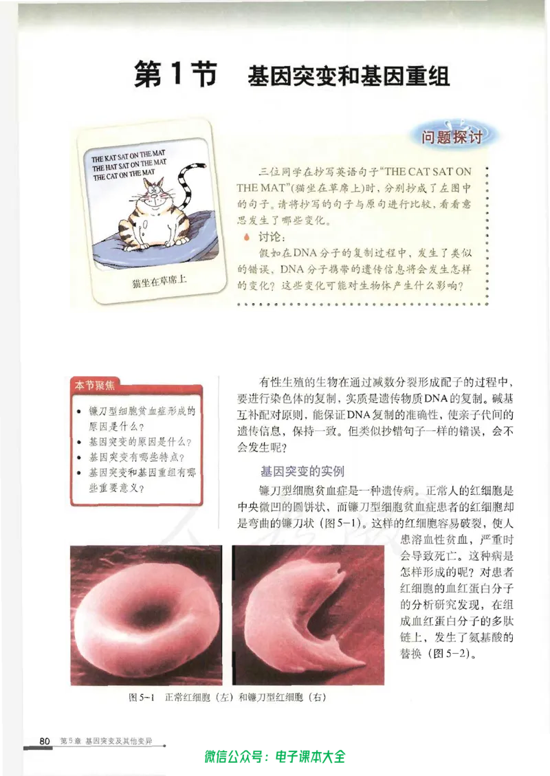 必修2《遗传与进化》_高中三年全科资料_高中_高中电子教材_旧教材_高中生物（人教旧版）_高中生物必修1-3（3本）