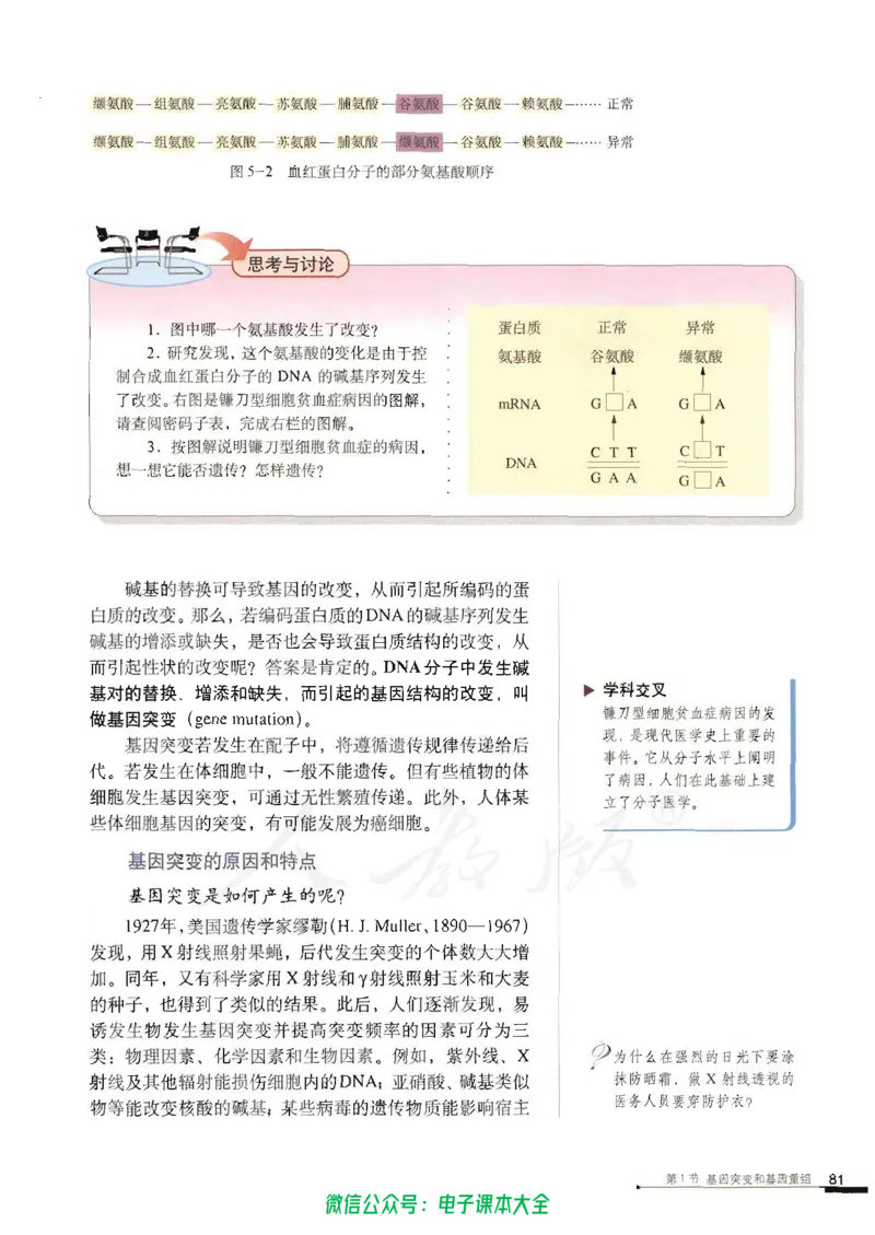 必修2《遗传与进化》_高中三年全科资料_高中_高中电子教材_旧教材_高中生物（人教旧版）_高中生物必修1-3（3本）