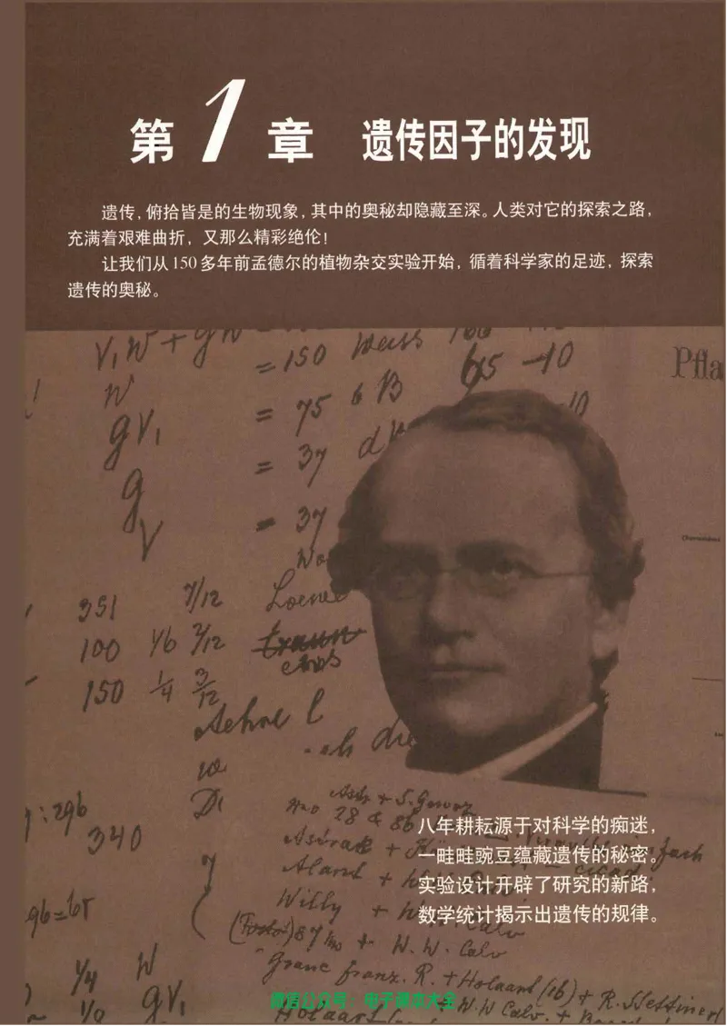 必修2《遗传与进化》_高中三年全科资料_高中_高中电子教材_旧教材_高中生物（人教旧版）_高中生物必修1-3（3本）