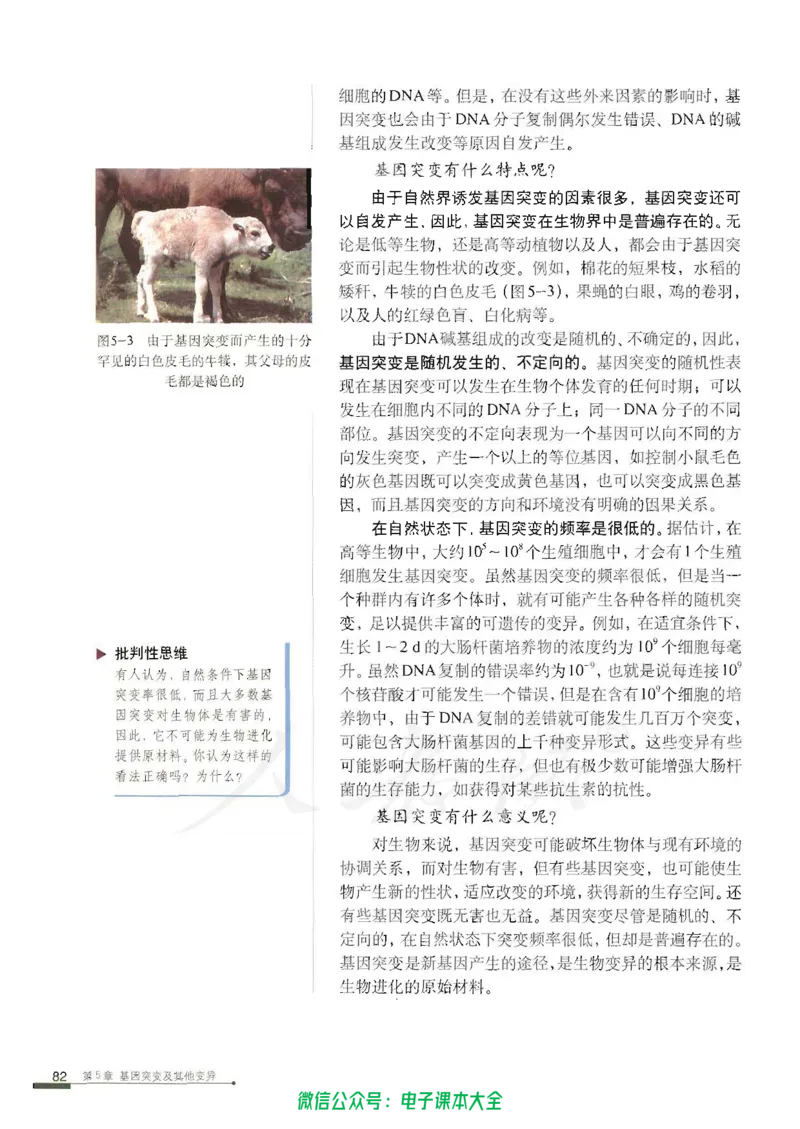 必修2《遗传与进化》_高中三年全科资料_高中_高中电子教材_旧教材_高中生物（人教旧版）_高中生物必修1-3（3本）