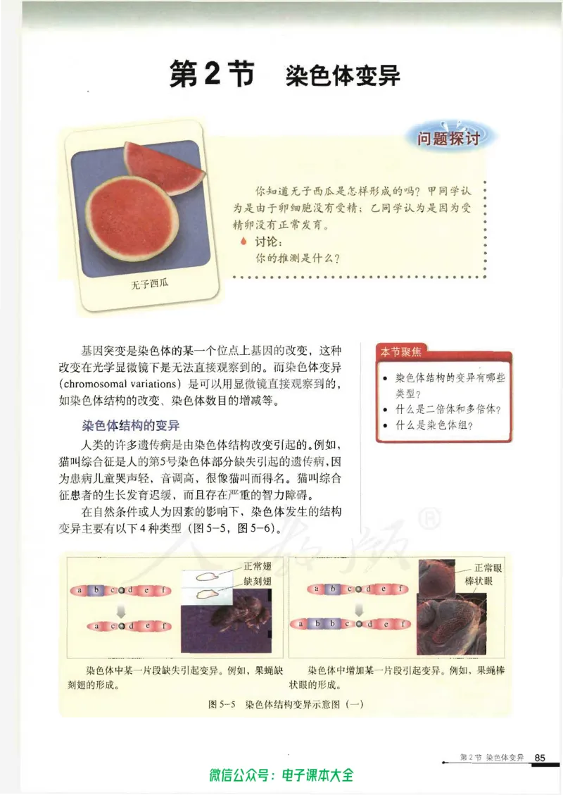 必修2《遗传与进化》_高中三年全科资料_高中_高中电子教材_旧教材_高中生物（人教旧版）_高中生物必修1-3（3本）